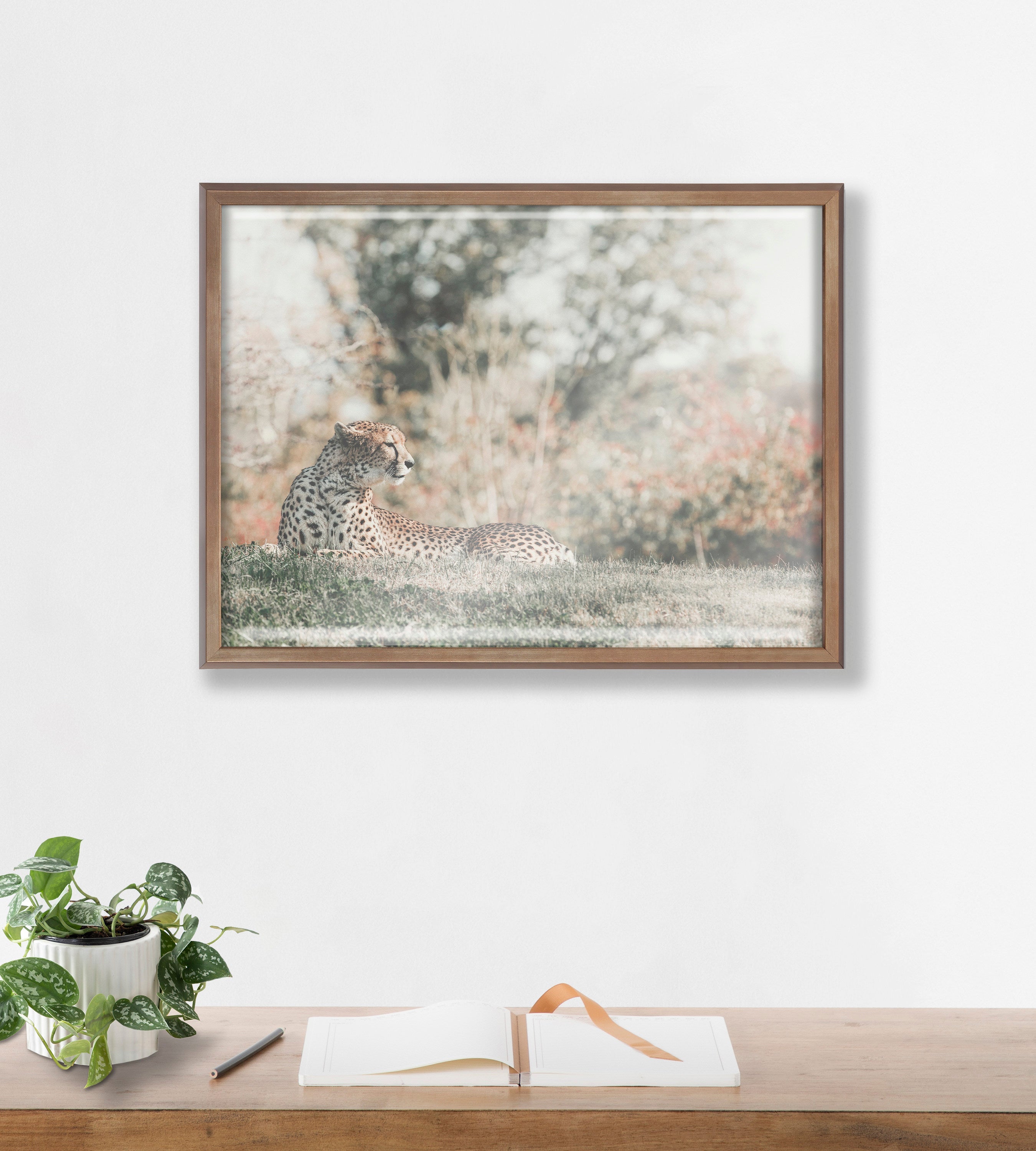 Blake Cheetah Framed Printed Glass by Alicia Abla by kateandlaurel - product image 7 for Resin Society