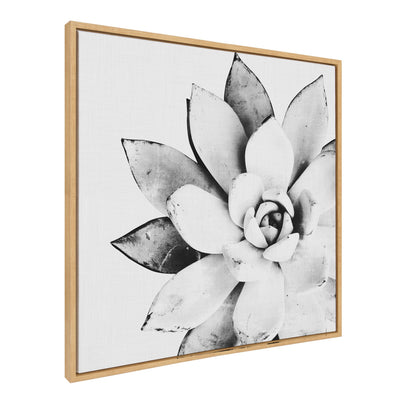 Sylvie Succulent Framed Canvas by Simon Te of Tai Prints