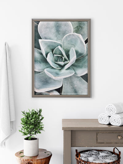 Blake Botanical Succulent Plants 3 Framed Printed Glass by The Creative by kateandlaurel - product image 7 for Resin Society