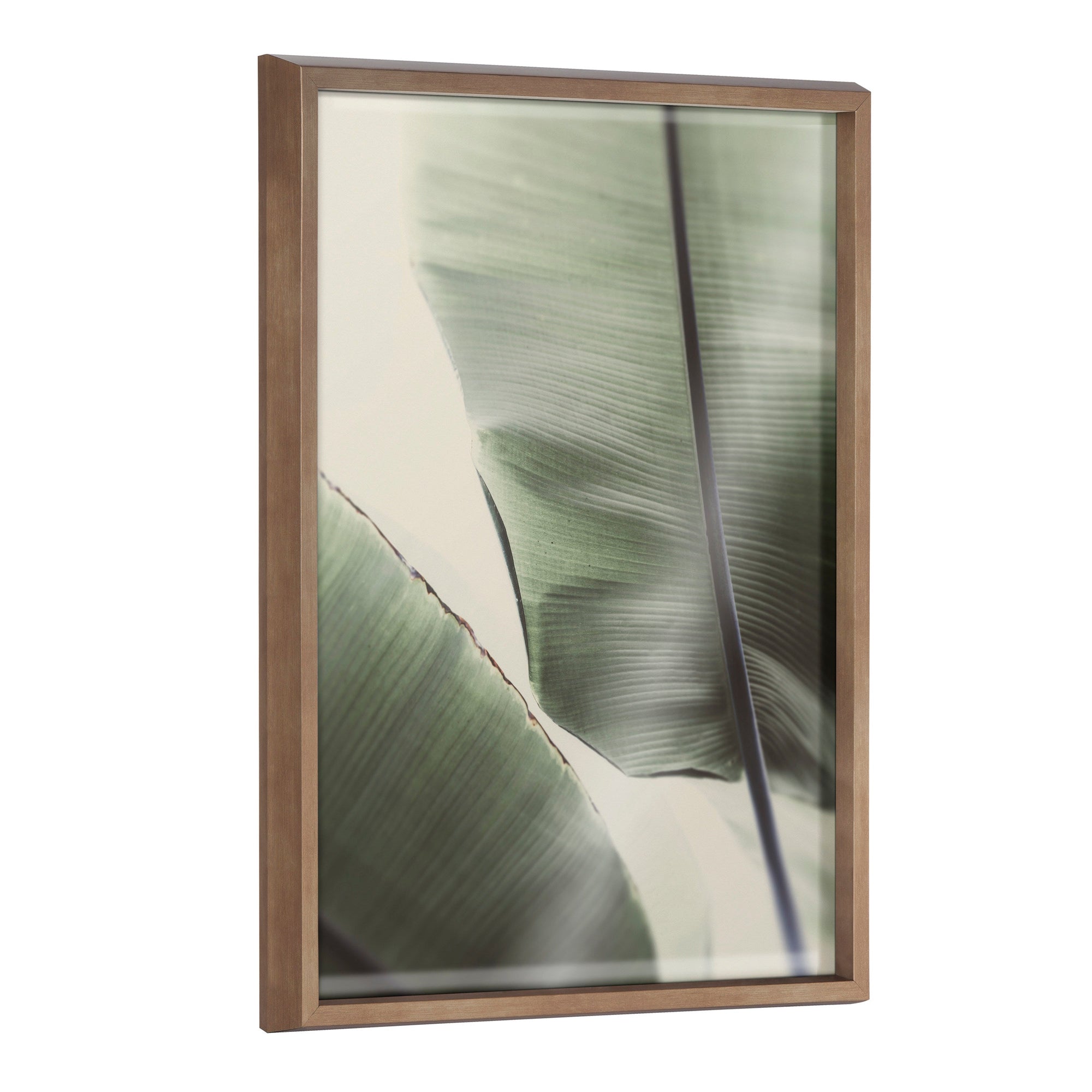 Blake Vintage Palms Framed Printed Glass by Alicia Abla by kateandlaurel - main product image for Resin Society