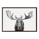 Black and white portrait of a moose facing forward with large, broad antlers prominently displayed against a plain white background in a dark wood frame.