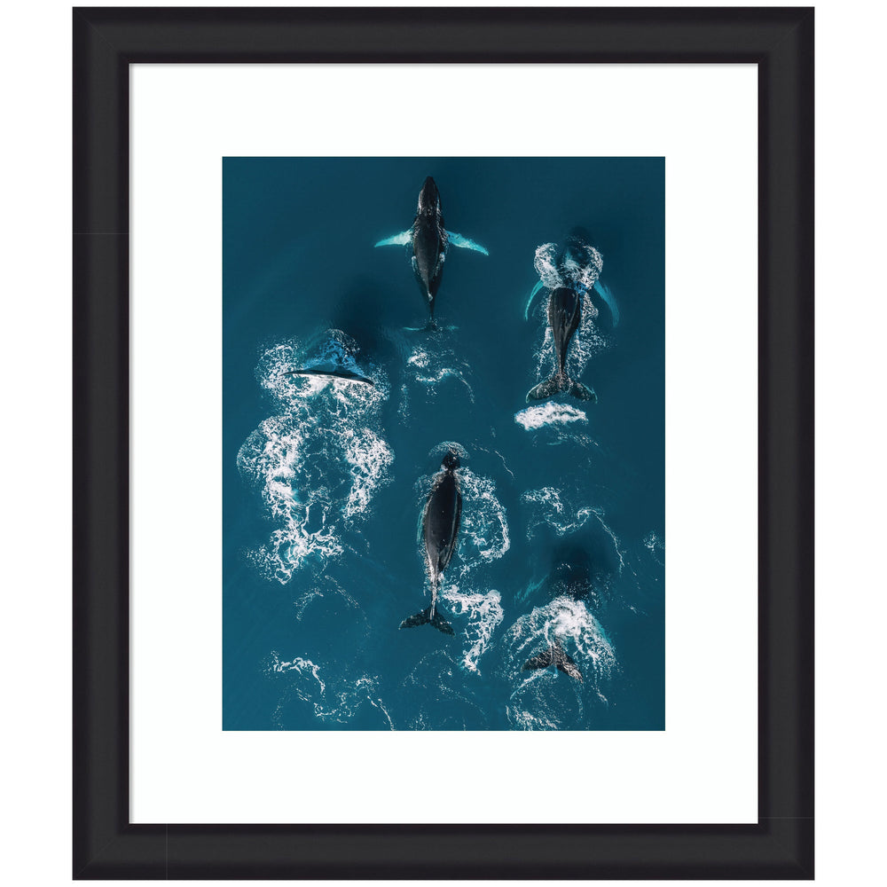 Framed aerial image of humpback whales swimming in the deep blue ocean.