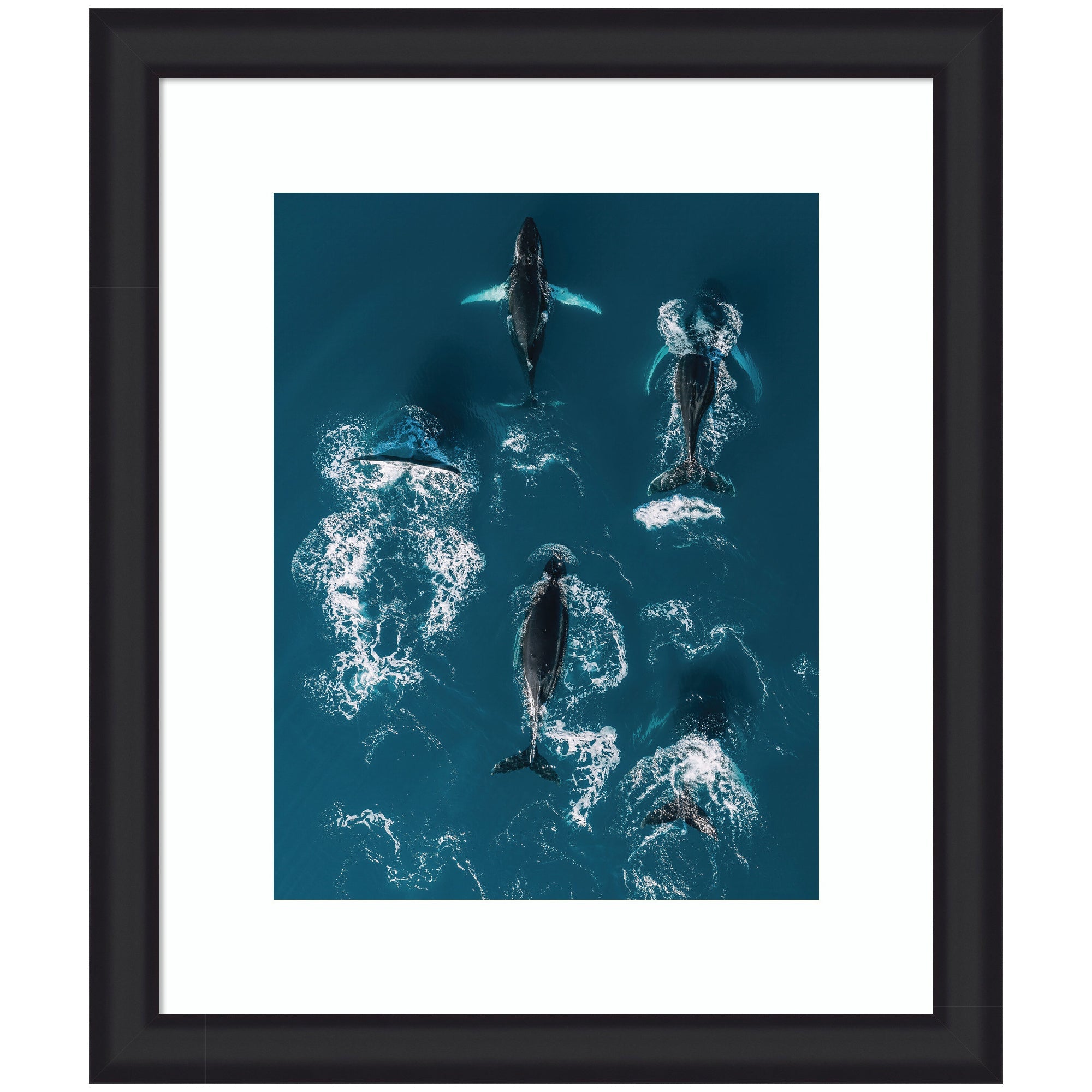 Framed aerial image of humpback whales swimming in the deep blue ocean.