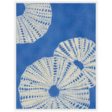 White sea urchin shell patterns with dotted lines on a textured deep blue background, framed in a simple white frame.