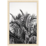 Black and white photograph of dense palm fronds with varying textures, framed in a light wood frame against a plain background.