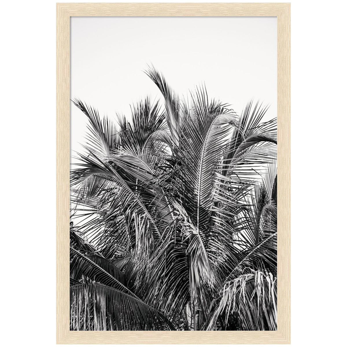 Black and white photograph of dense palm fronds with varying textures, framed in a light wood frame against a plain background.