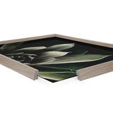 Close-up of a framed print showing a dark green succulent leaf with soft lighting, encased in a light wood frame with a corner cutaway view.