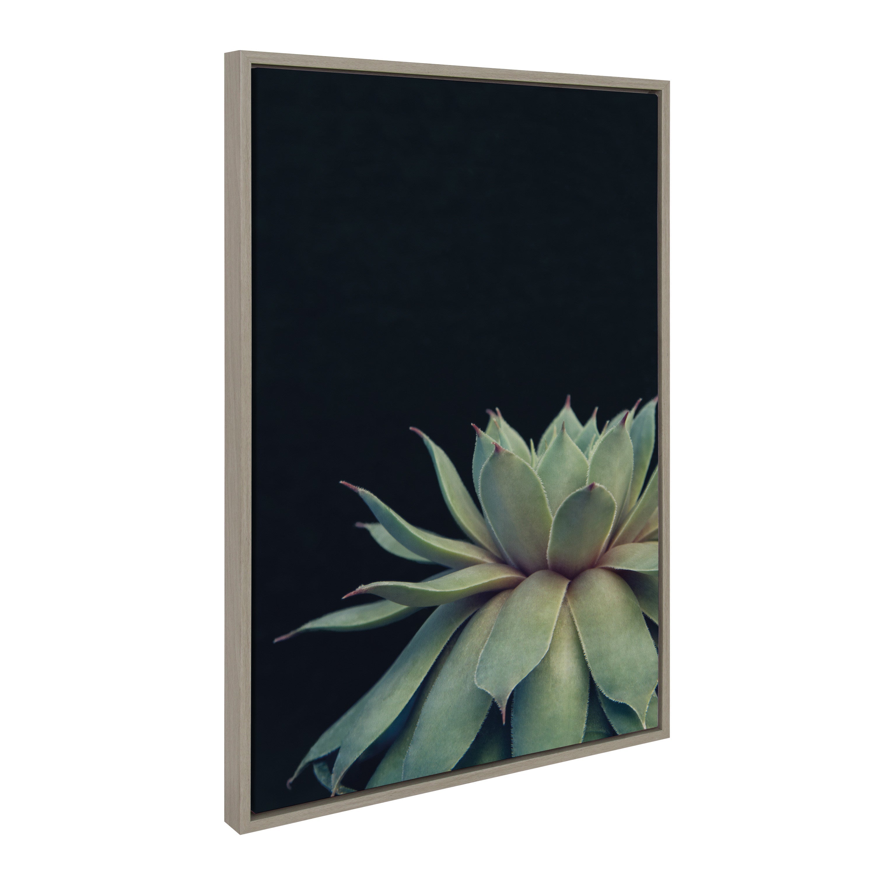 Sylvie Succulent Framed Canvas by F2 Images by kateandlaurel - product image 13 for Resin Society