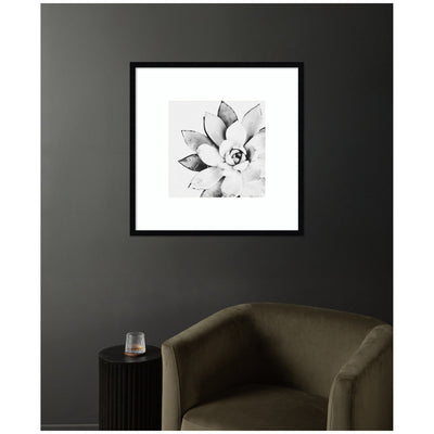 Modern Succulent by Tai Prints Framed Wall Art Print