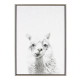 Black and white framed canvas portrait of an alpaca with detailed wool texture and a calm expression centered on a white background.