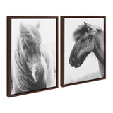 Sylvie Benevolence and Indomitable Framed Canvas Set by Alicia Abla by kateandlaurel - product image 2 for Resin Society