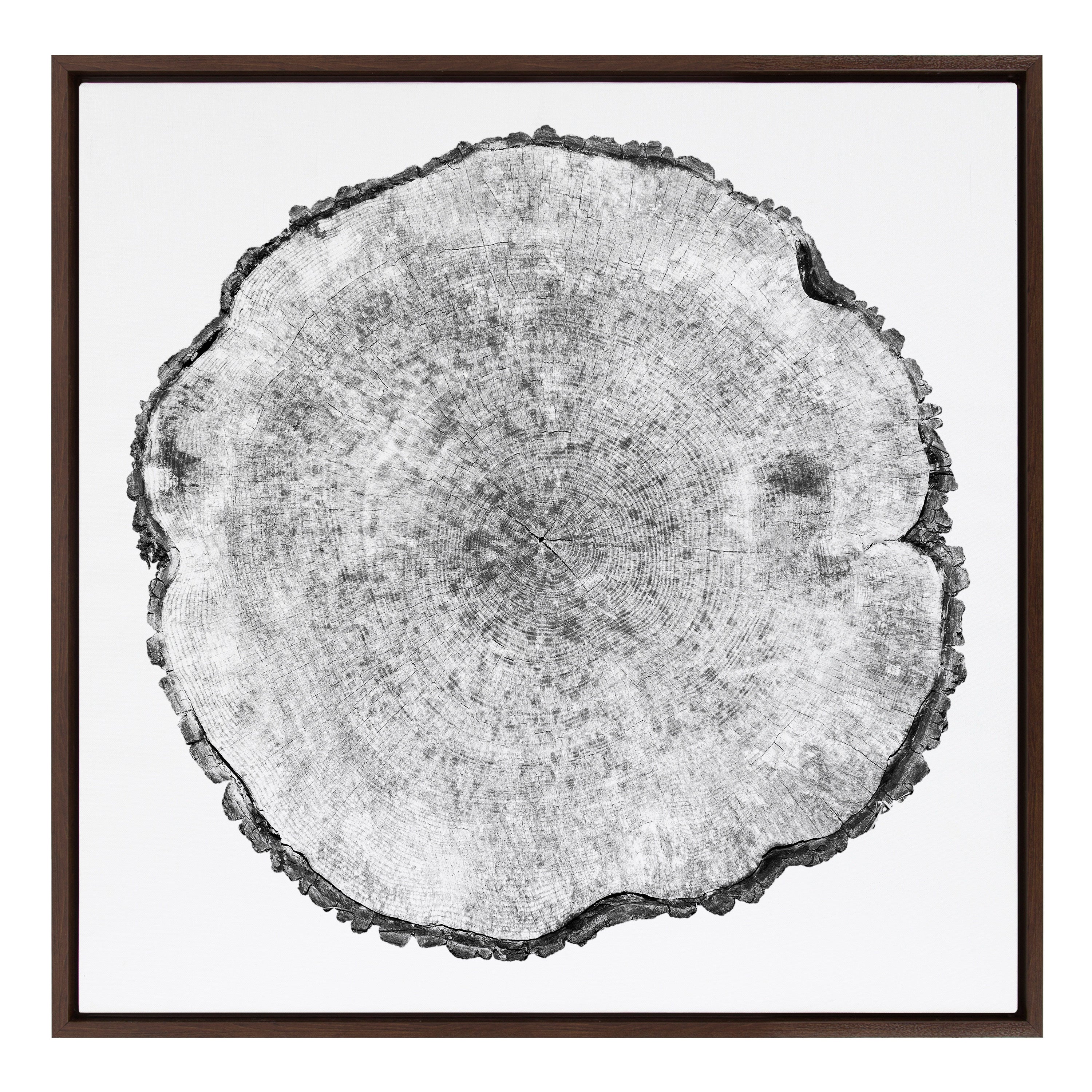 Sylvie Tree Rings Framed Canvas by kateandlaurel - product image 9 for Resin Society