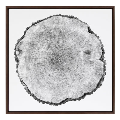 Sylvie Tree Rings Framed Canvas by kateandlaurel - product image 9 for Resin Society
