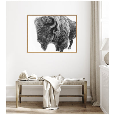 Bison in Snow Black and White by Amy Peterson Framed Canvas Wall Art Print