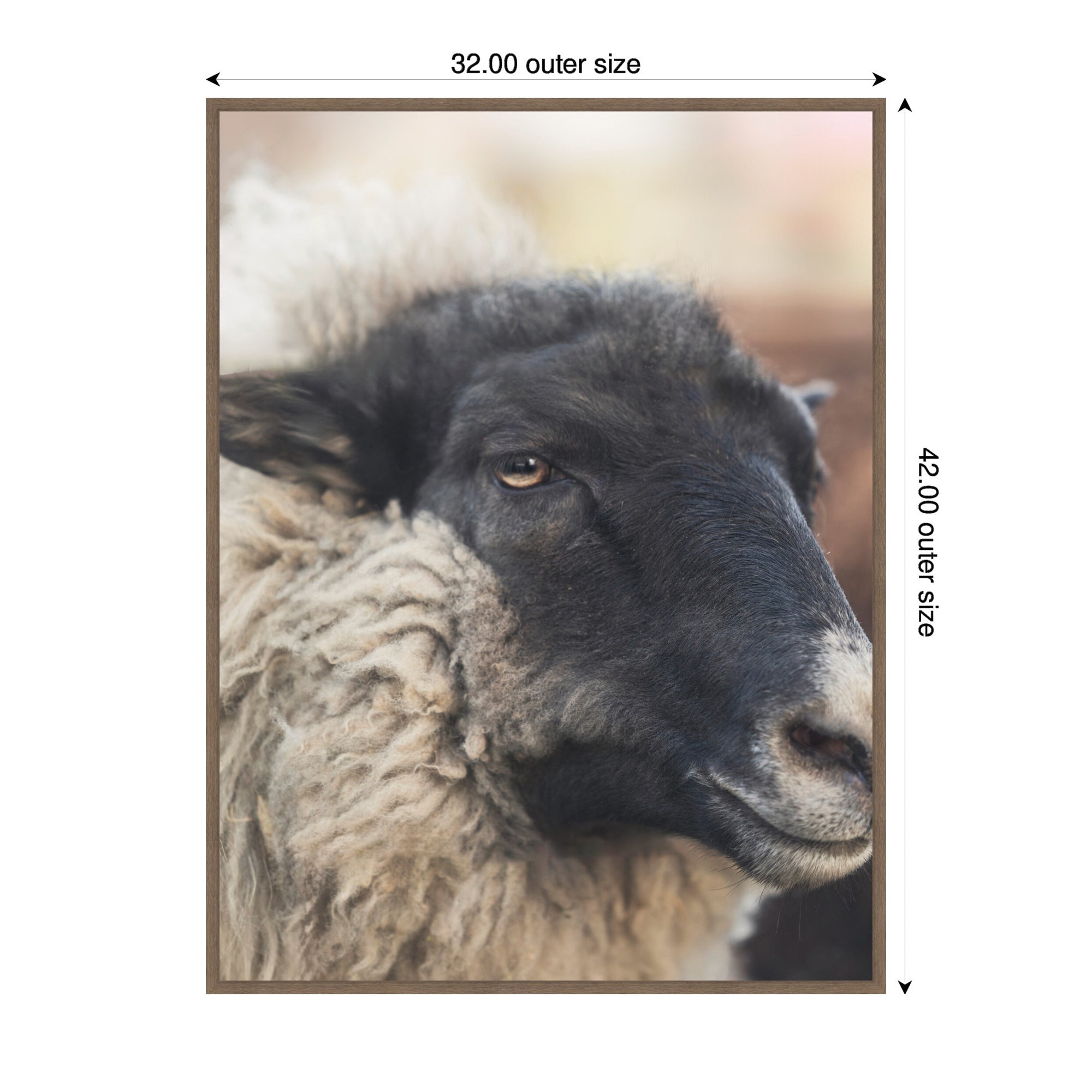Edward Close Up by Emiko and Mark Franzen F2 Images Framed Canvas Wall Art Print