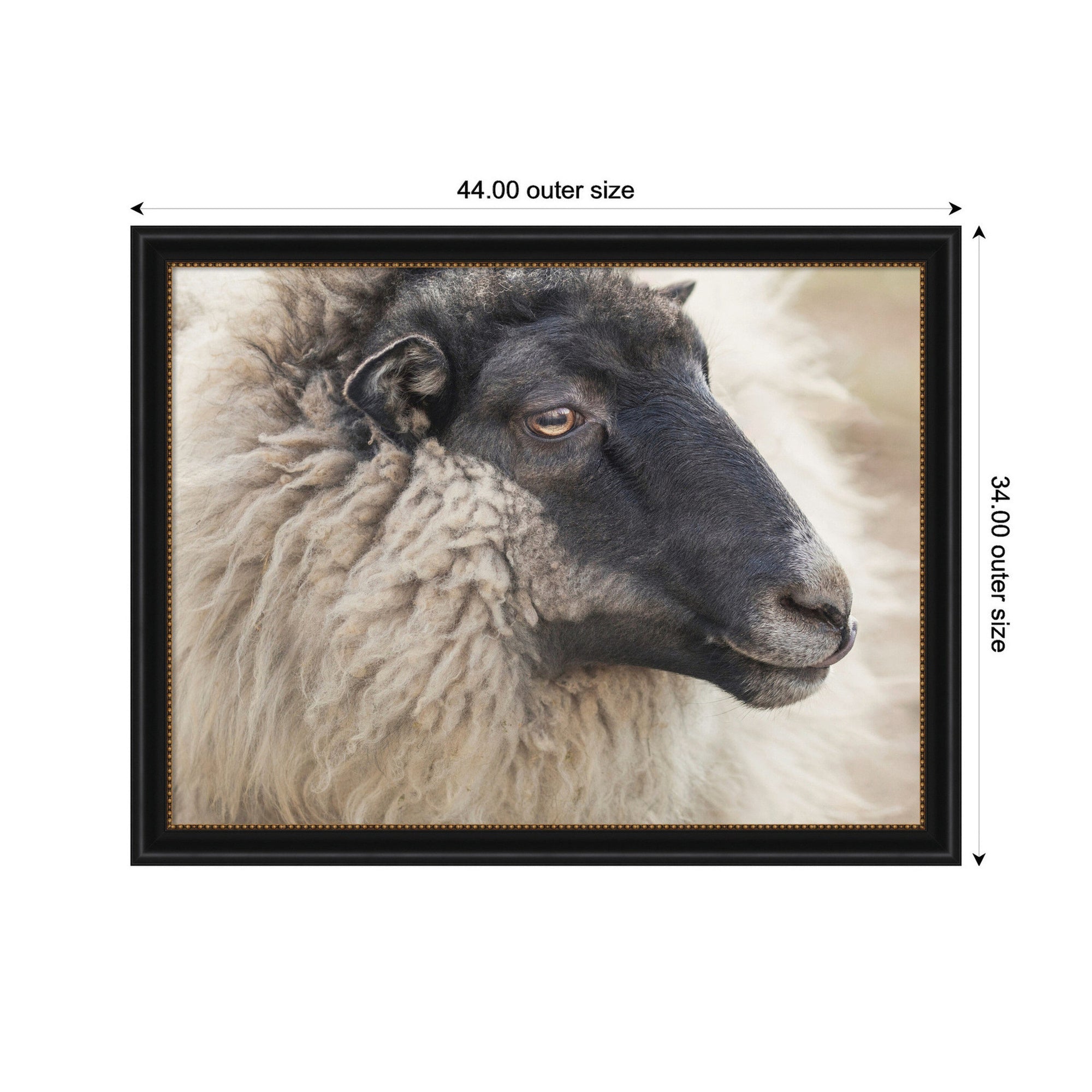 Edward Crop by Emiko and Mark Franzen F2 Images Framed Wall Art Print