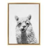 Black and white close-up portrait of an alpaca with fluffy fur and expressive eyes, framed in a light wood frame against a white background.