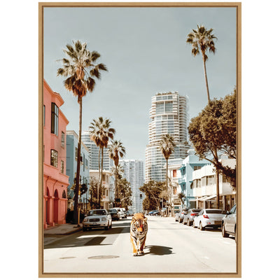 Sylvie California Tiger Roaming through Palm Springs Framed Canvas by Michael Schauer