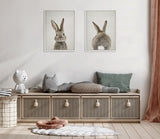 Two framed canvas art prints of a brown bunny: one front-facing portrait with upright ears and one rear view showing its tail, hung side by side on a white wall.