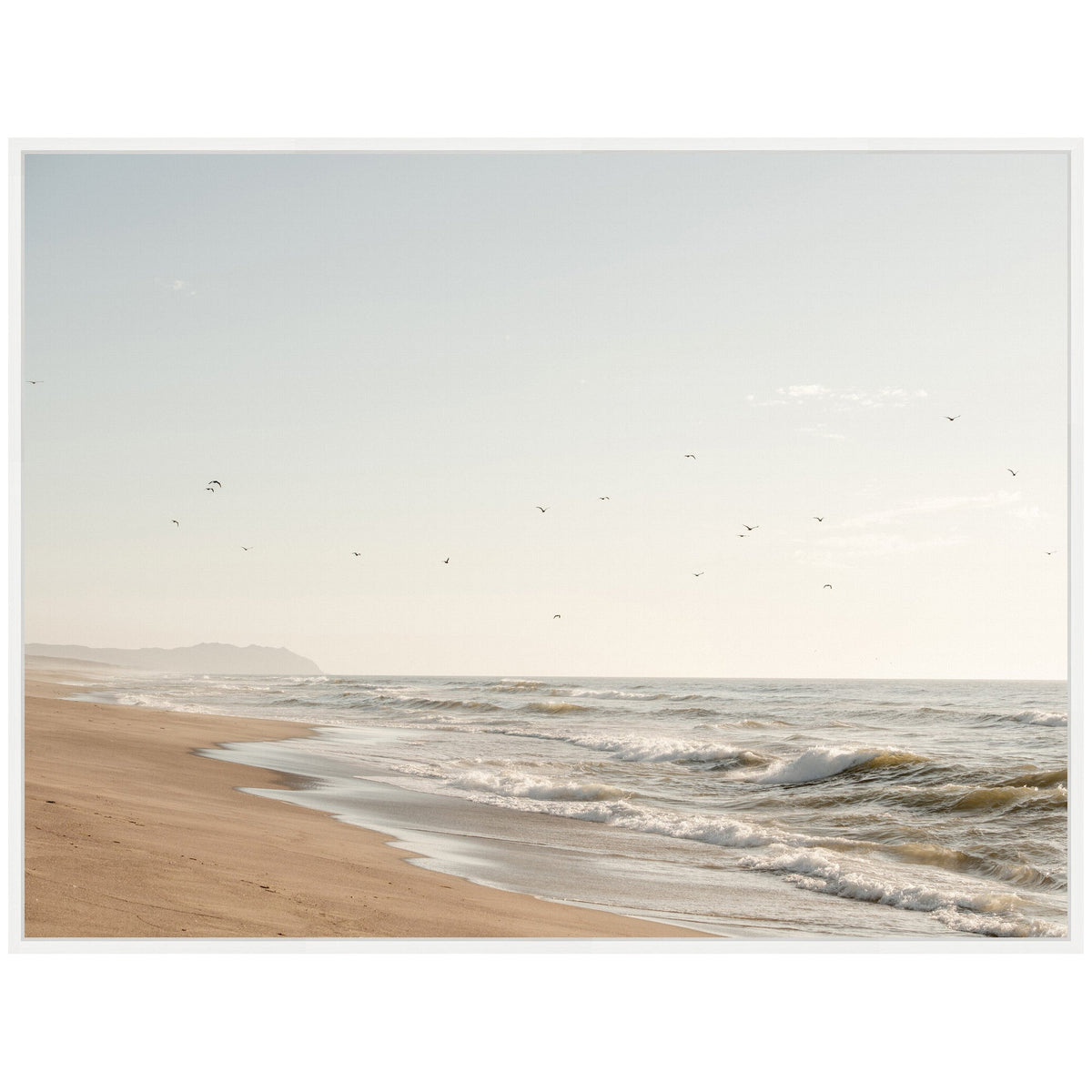 Calm sandy beach with gentle waves under a pale sky, dozens of birds flying above the water near a distant mountain silhouette.