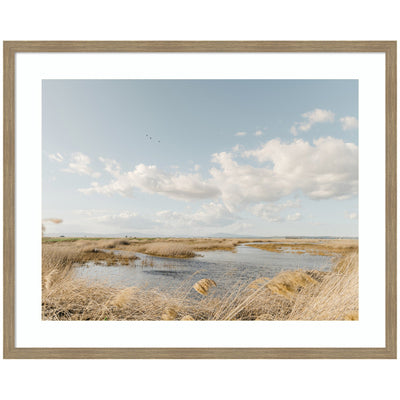 Framed Art Marshland by Crystal Lynn Collins