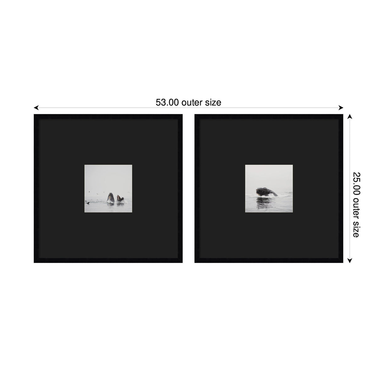 Two black-framed square art prints each featuring a small centered grayscale image of a humpback whale; one shows the whale's tail up, the other its head emerging from water.