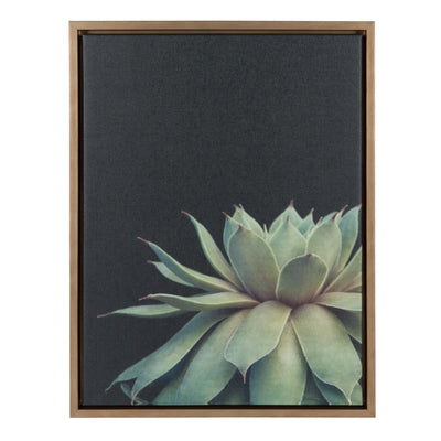 Sylvie Succulent Framed Canvas by F2 Images by kateandlaurel - main product image for Resin Society