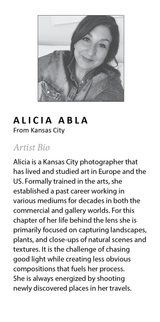 Sylvie Beach Framed Canvas by Alicia Abla by kateandlaurel - product image 9 for Resin Society