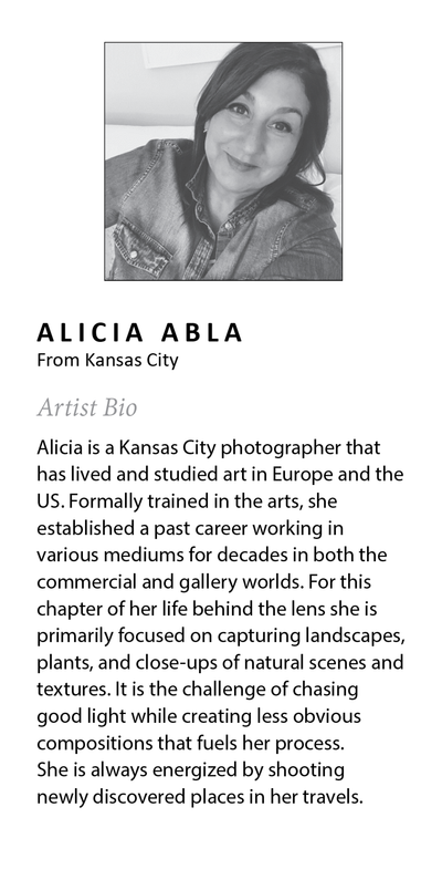 Sylvie Beach Framed Canvas by Alicia Abla by kateandlaurel - product image 9 for Resin Society