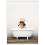Golden retriever standing in white clawfoot bathtub filled with bubbles, holding a brown leash in its mouth against a neutral wall and wooden floor.