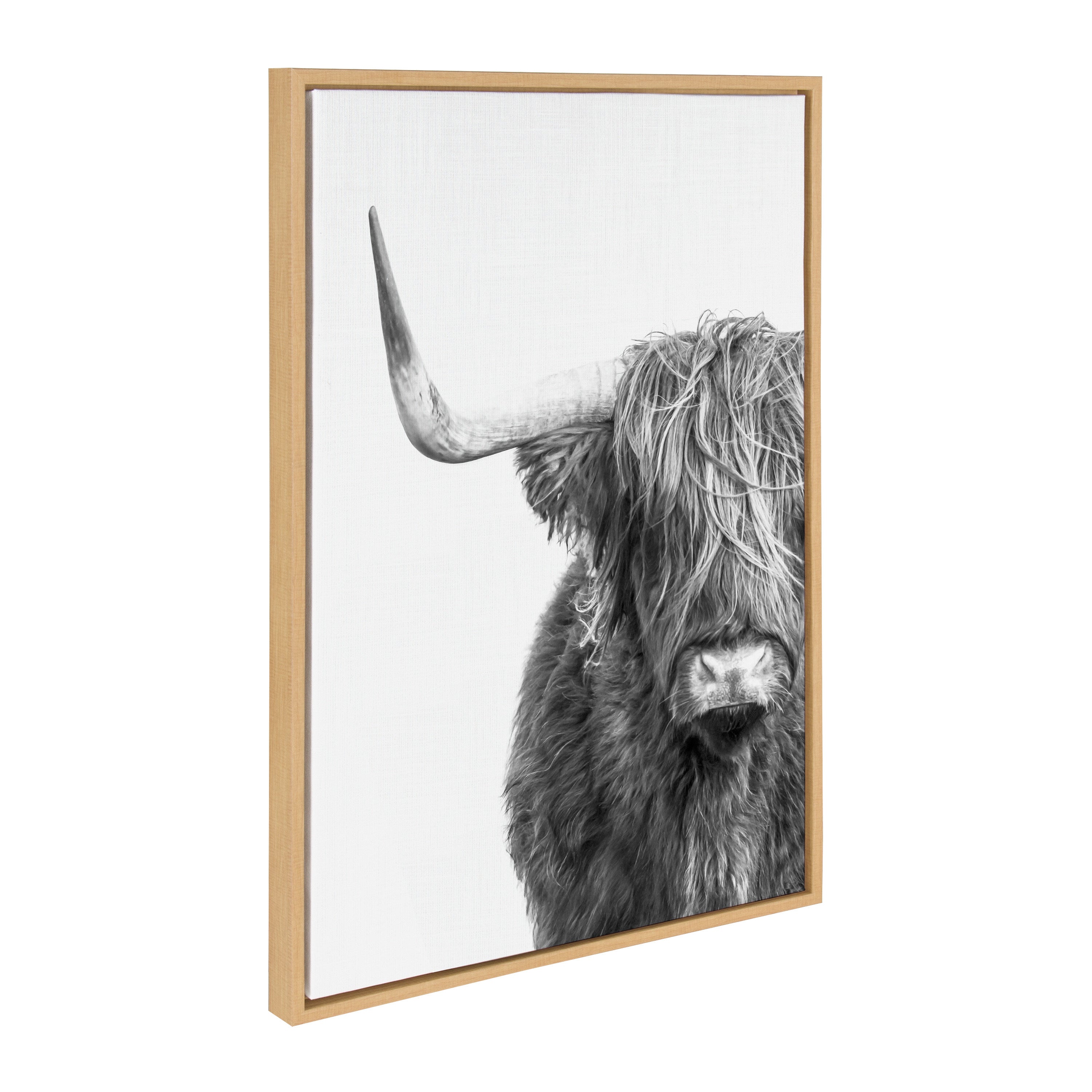Sylvie B&W Highland Cow No. 1 Framed Canvas by Amy Peterson Art Studio
