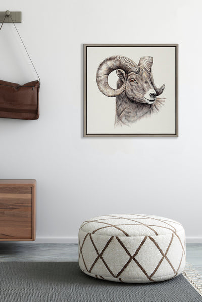 Sylvie Ram Framed Canvas by Ron Dunn