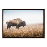 Side view of a solitary American bison standing in dry prairie grass under a pale blue sky, captured in a framed canvas print.