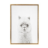 Framed canvas print of a highly detailed black and white sketch of a fluffy alpaca facing forward against a white background.