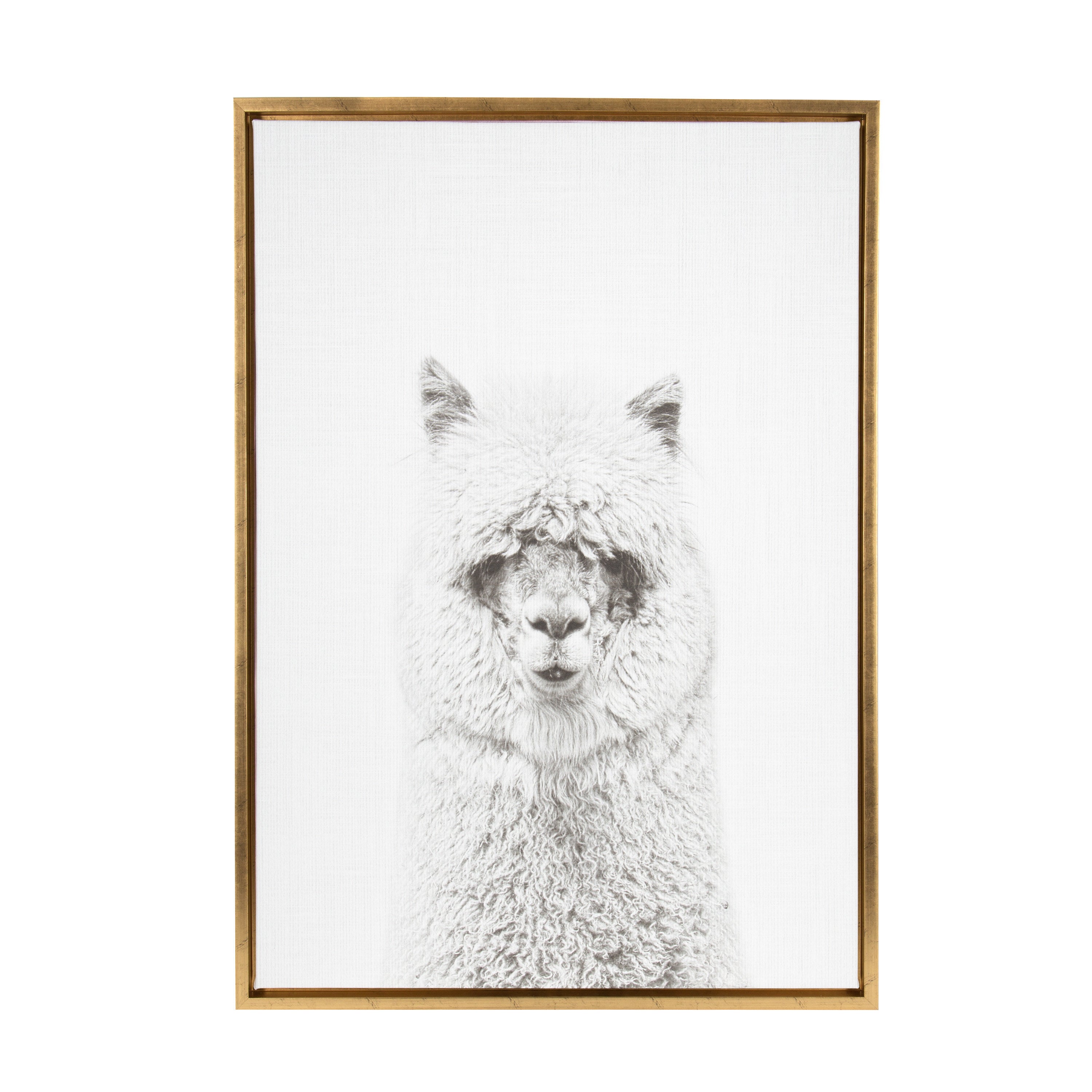 Sylvie Hairy Alpaca Framed Canvas by Simon Te of Tai Prints
