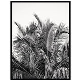 Black and white framed wall art print showing a dense cluster of palm fronds with varied lines and textures against a light background.