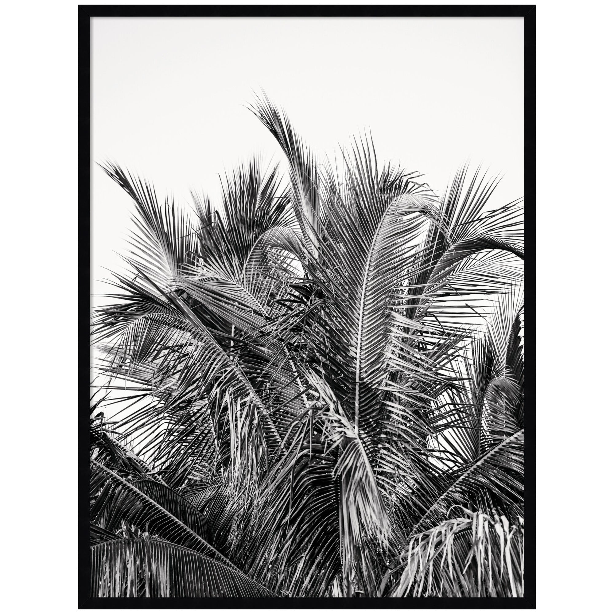 No 13 by Alicia Bock Framed Wall Art Print