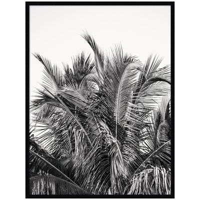No 13 by Alicia Bock Framed Wall Art Print