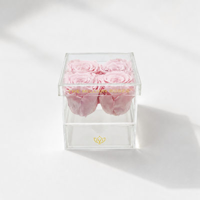 Clear acrylic box with 4 light pink roses on top and a single drawer below