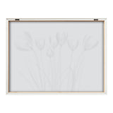 Framed black and white x-ray print of delicate crocus flowers with thin stems and detailed petals, displayed in a simple white wooden frame.