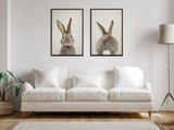 Two framed canvas prints above a white sofa, one showing a gray bunny's front portrait and the other its back with a fluffy tail, against a neutral wall.
