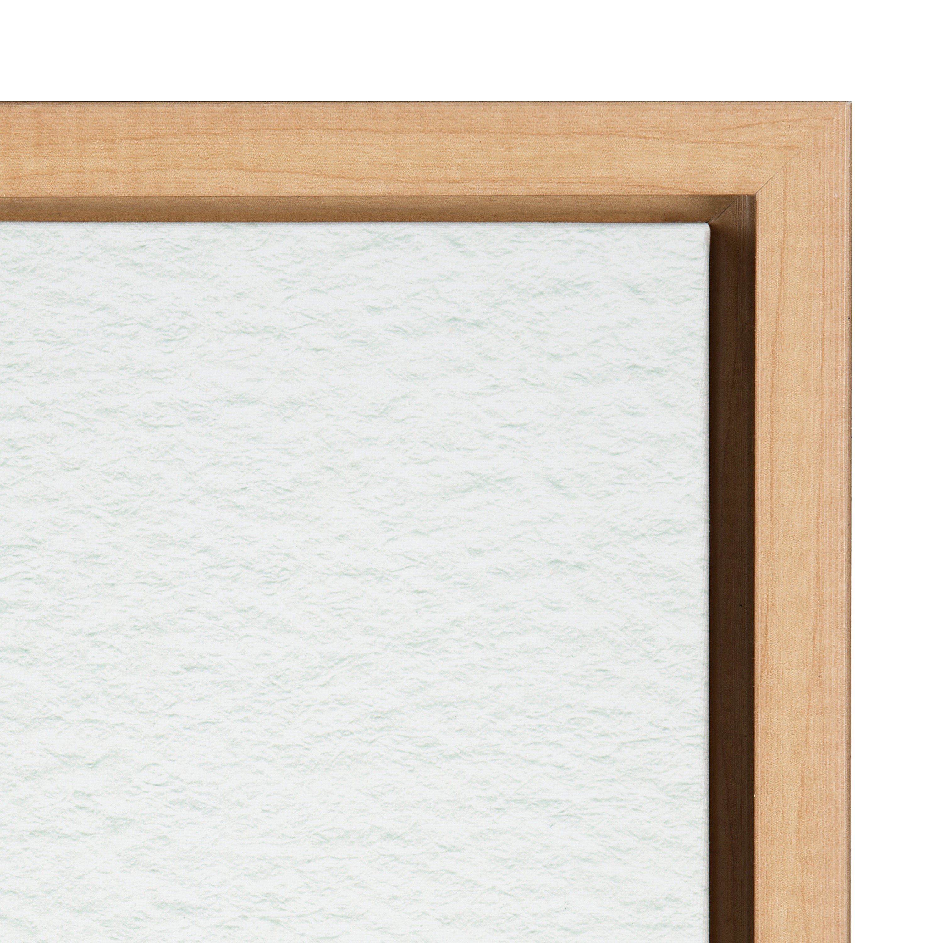 Sylvie Succulent 18 Framed Canvas by kateandlaurel - product image 8 for Resin Society