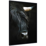 Minimalist black framed canvas wall art featuring a close-up portrait of a Highland cow with textured dark hair and horn detail