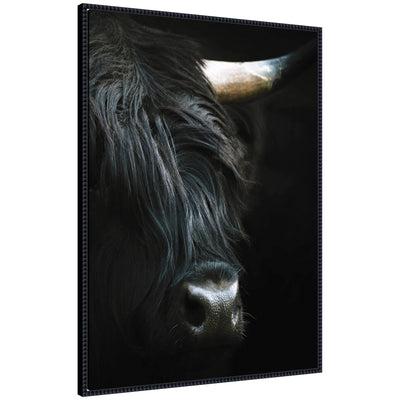 Minimalist black framed canvas wall art featuring a close-up portrait of a Highland cow with textured dark hair and horn detail