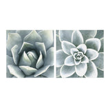 Soft Botanical Succulents by The Creative Bunch Studio by kateandlaurel - product image 2 for Resin Society