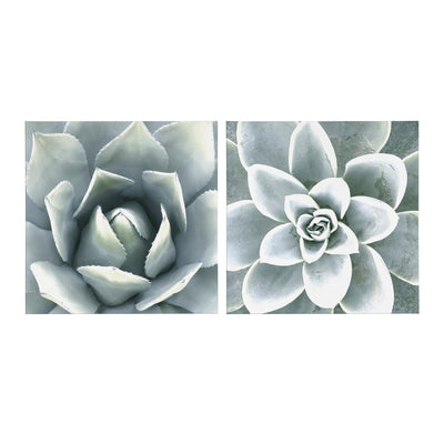 Soft Botanical Succulents by The Creative Bunch Studio by kateandlaurel - product image 2 for Resin Society
