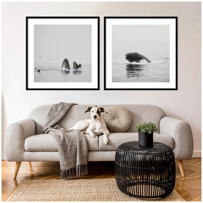Humpback Whale 2 Piece Framed Wall Art Print Set by Laura Evans
