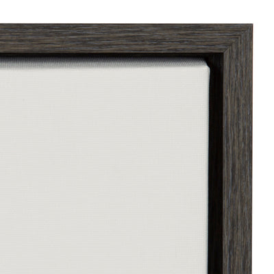 Sylvie Haze Aloe Succulent Framed Canvas by The Creative Bunch Studio by kateandlaurel - product image 20 for Resin Society