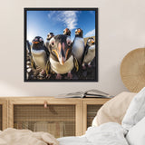 Close-up fisheye view of six curious penguins with black and white feathers and orange beaks under a clear blue sky, framed on a beige wall above wooden cabinet.