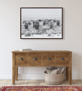 Sylvie Herd of Highland Cows Black and White Framed Canvas by The